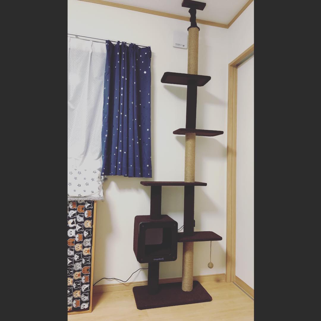 [HCM]Tháp mèo Single - CattyMan 84179