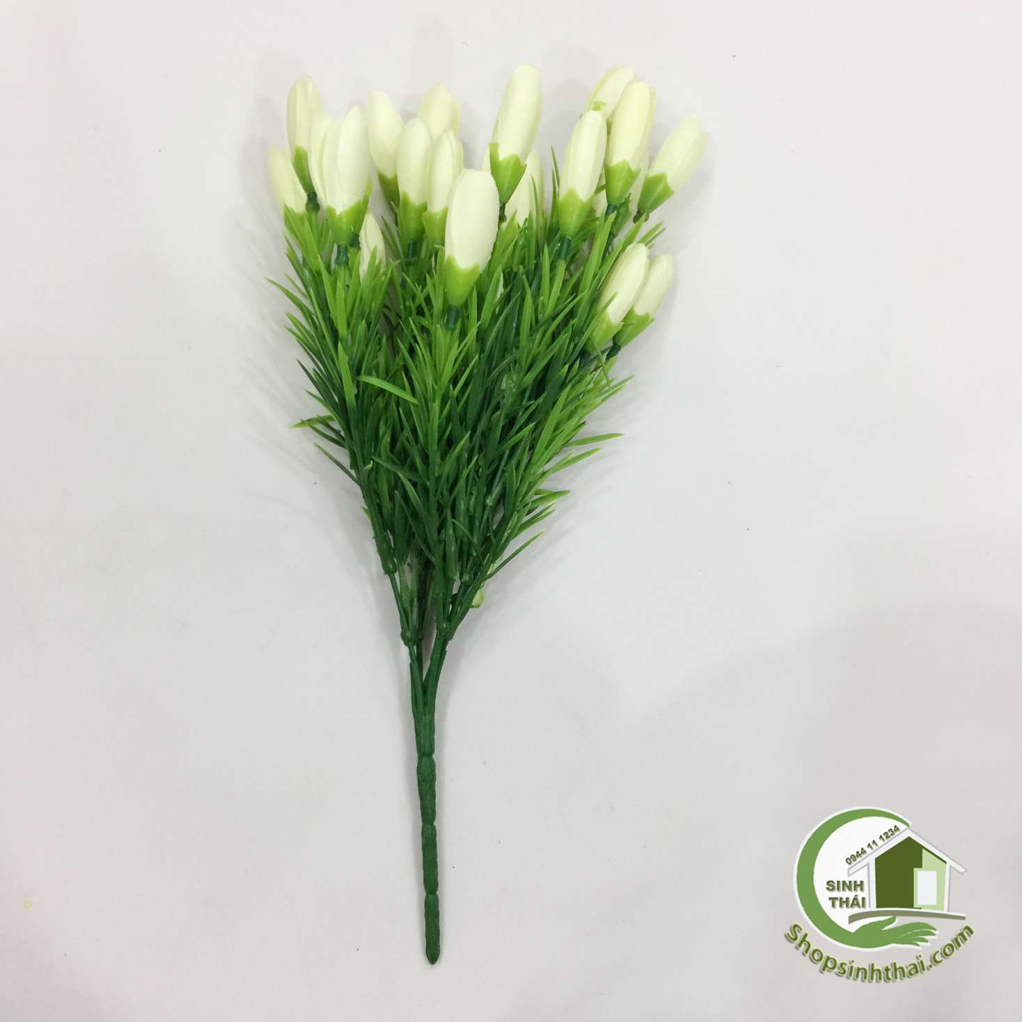 [HCM]Bụi Hoa Tulip Nhí Màu Trắng