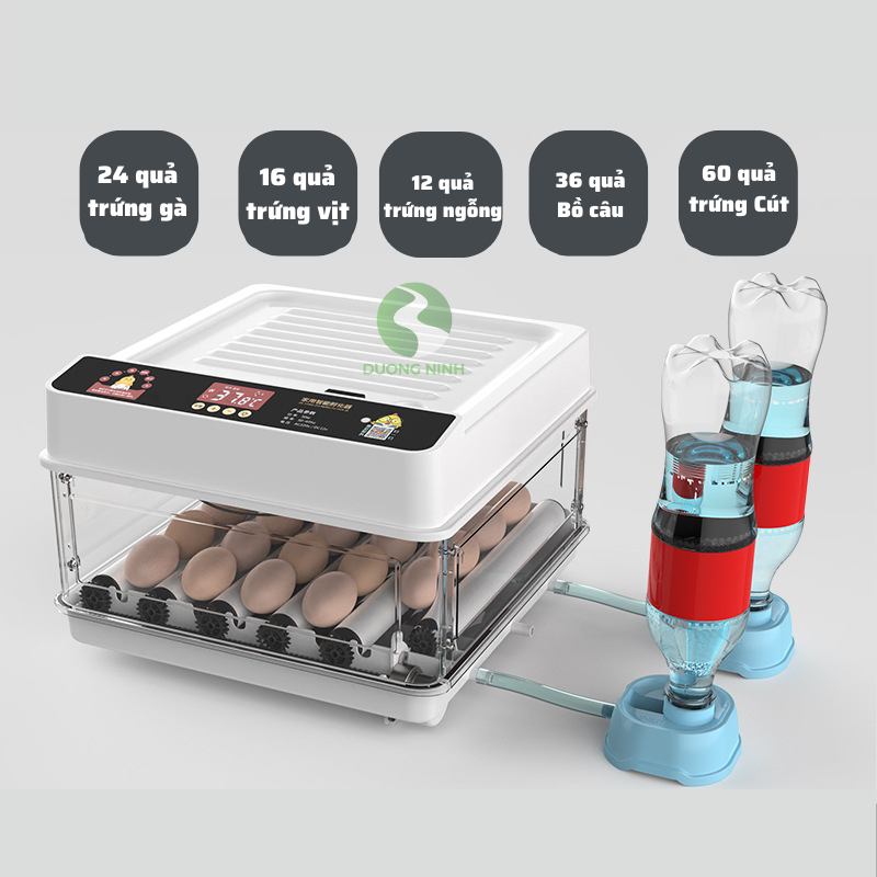 Máy ấp trứng gà tự động mini đảo trứng thay nước MAT01