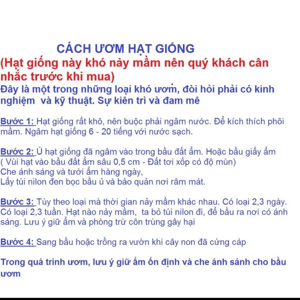 Hạt Giống Hoa Tử Đằng Mix 5 Hạt
