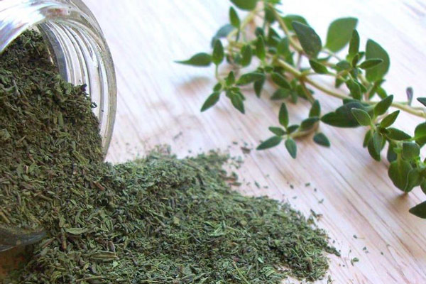 [Lọ nhỏ 12g - THYME] LÁ HÚNG TÂY [Australia] MCCORMICK Thyme Leaves (anm-hk)