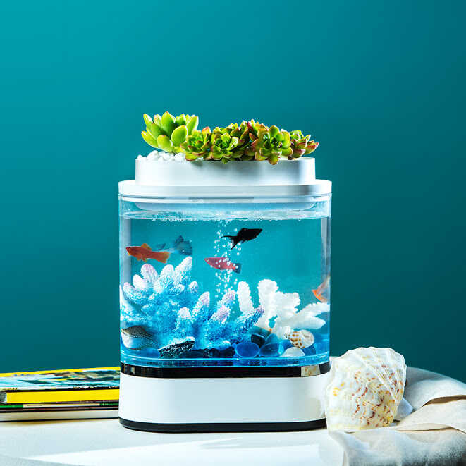 Bể cá thủy sinh thông minh Xiaomi HFJH Mini