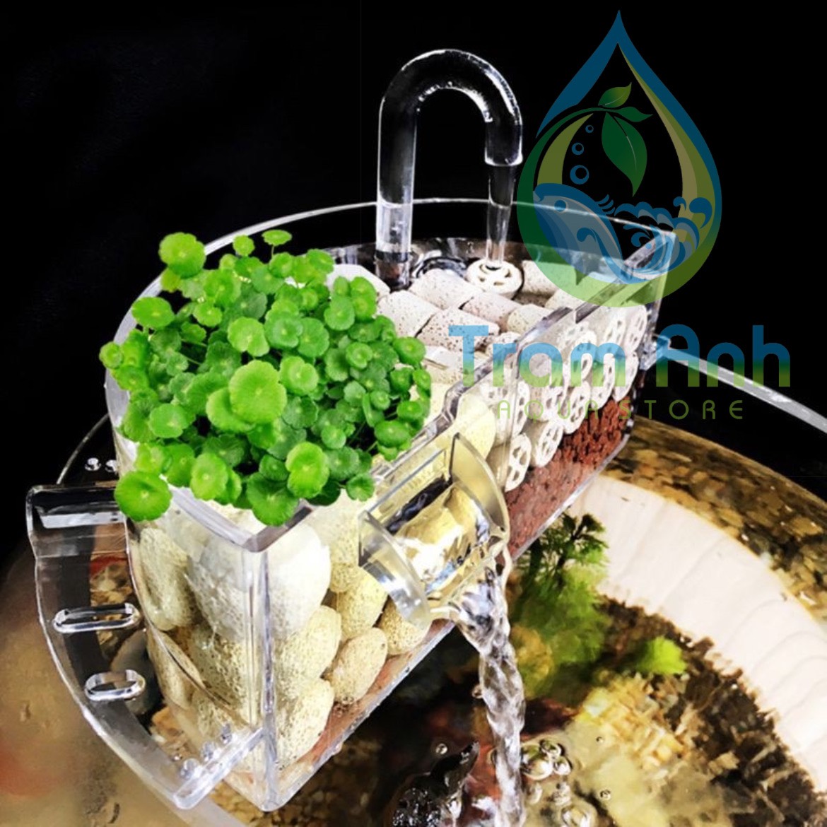 Lọc tràn cho bể cá tròn - để bàn - lọc trong suốt