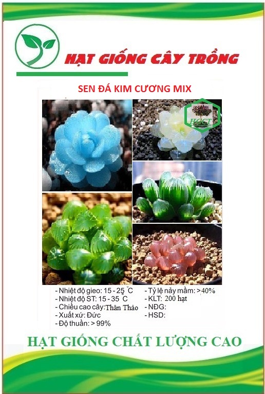 Hạt giống sen đá kim cương mix màu
