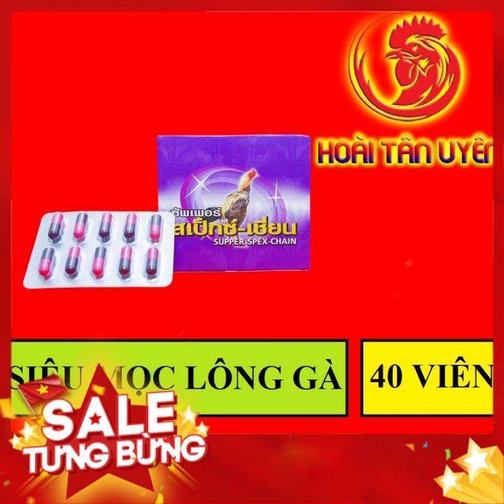 [ BD ] [ SEAL MÙA THAY LÔNG ] KÍCH MỌC LÔNG cho gà đá 4 vĩ 40 viên