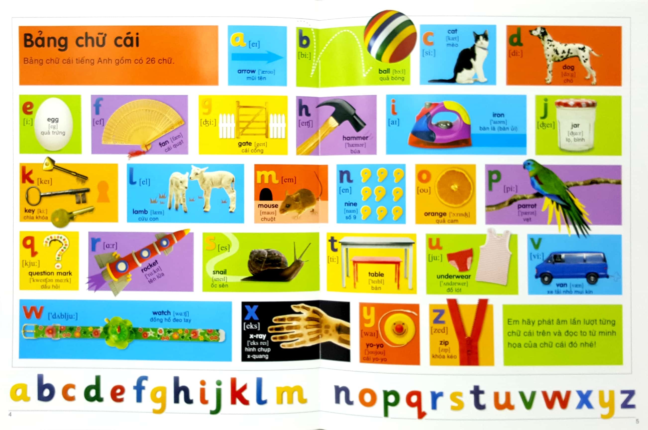 Cá Chép - My First ABC Book - New Edition