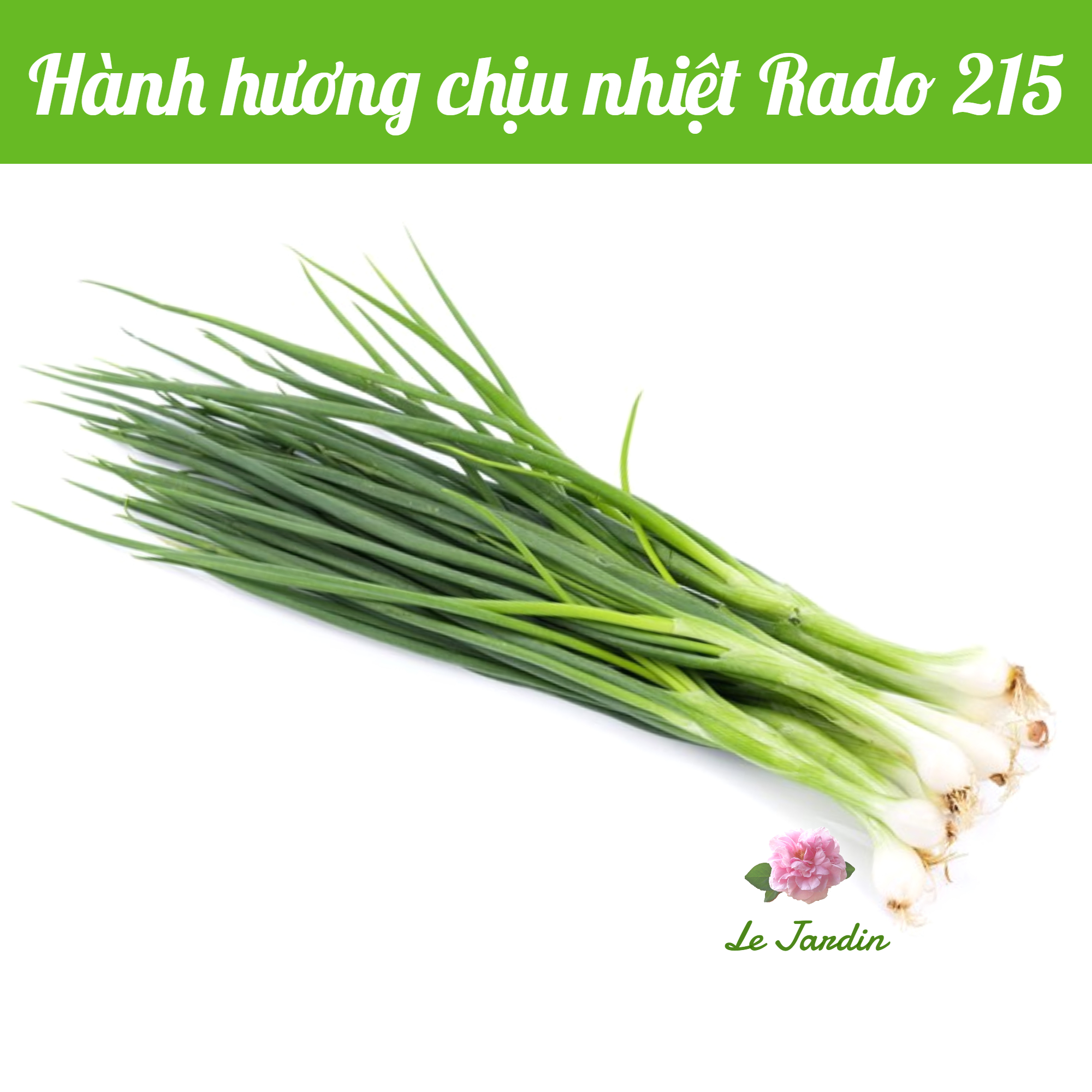 Spring Onion Seeds 2gr package