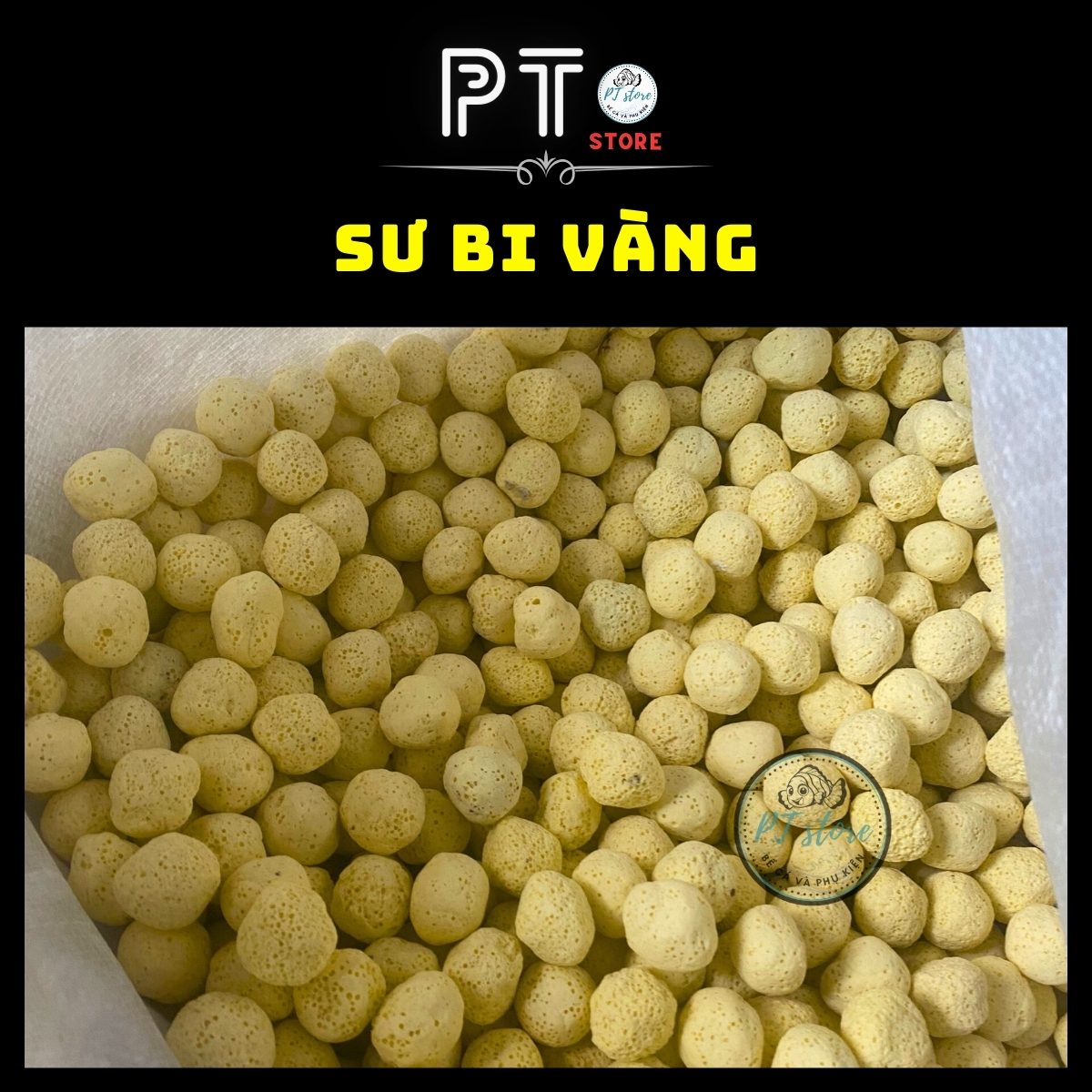 Sứ Lọc - Sứ Bi vàng nhẫn - lọc nước cho bể cá.