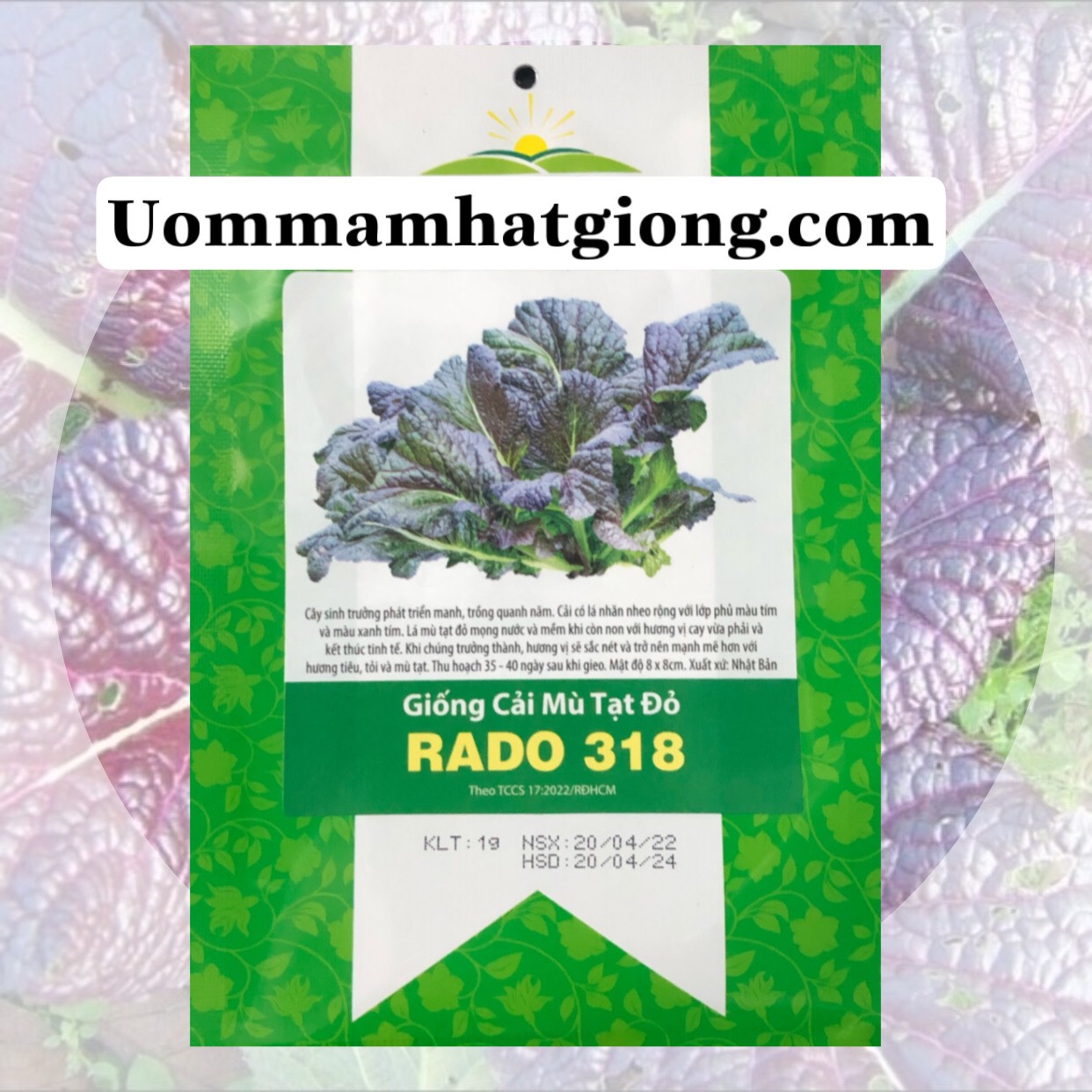 Hạt Giống Cải mù tạt đỏ 318 (1g)