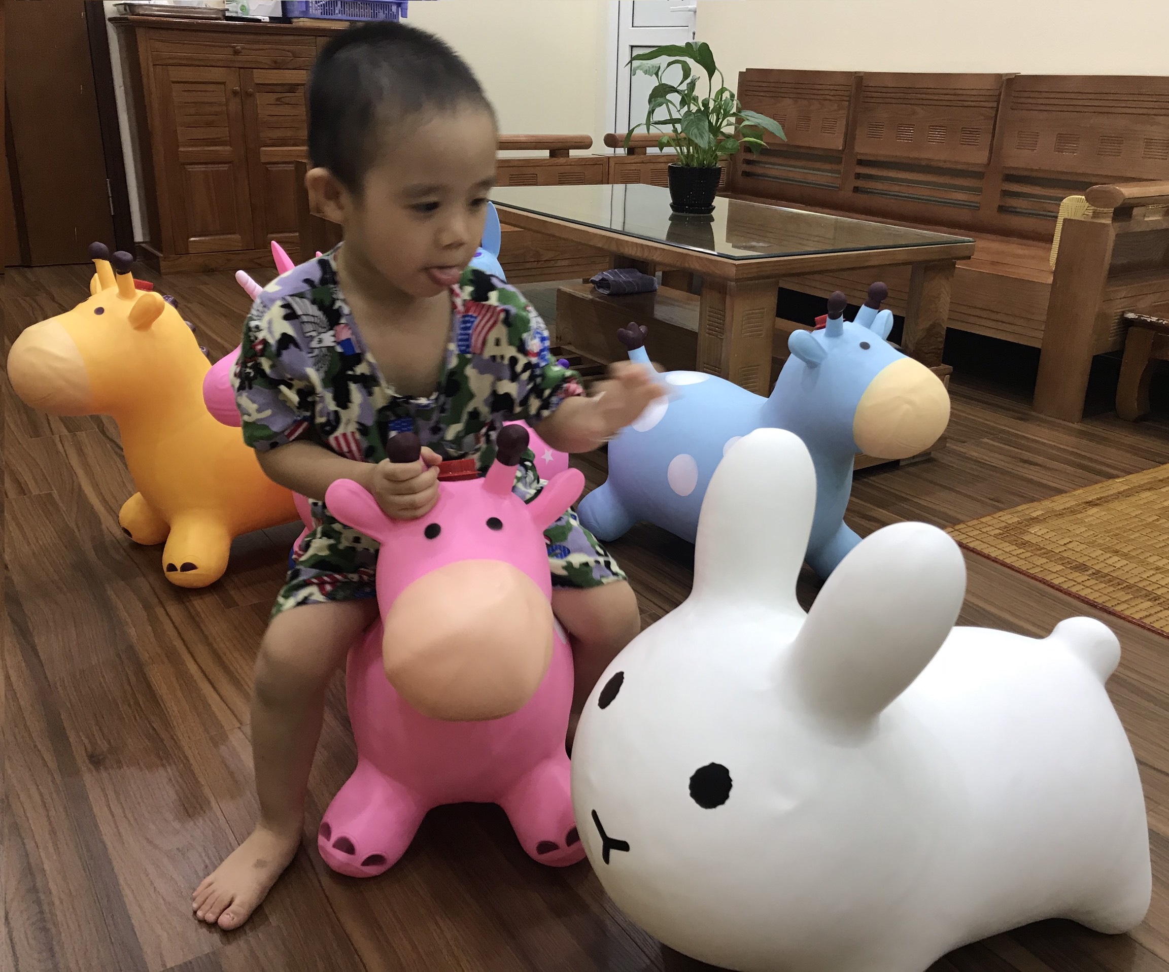 Thú nhún cao cấp cho bé, bé nào cũng thích mê