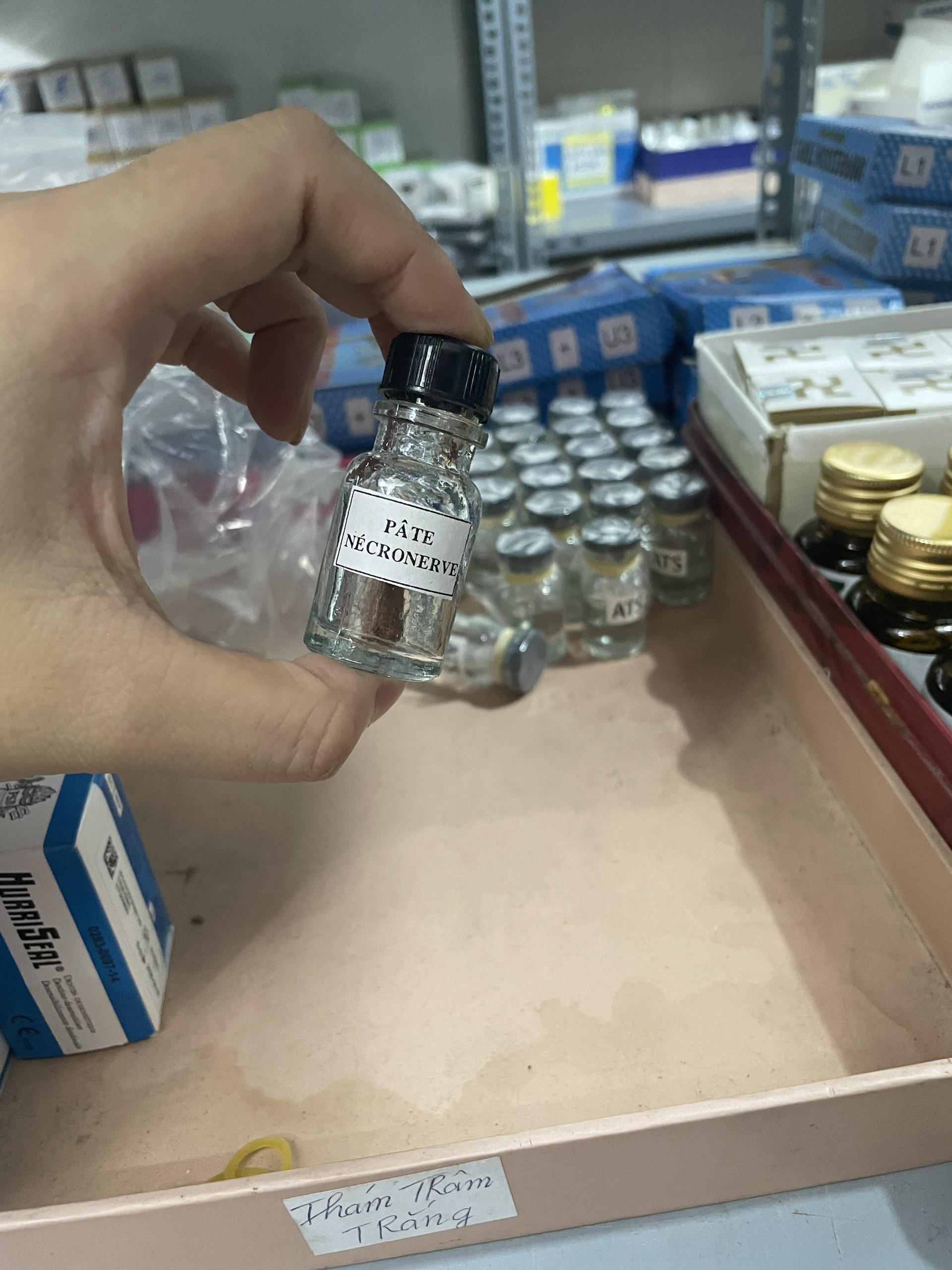 Diệt tủy Việt Nam