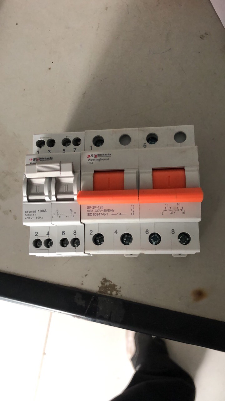 CẦU DAO ĐẢO CHIỀU MINI 2P-100A RICHARDS-MỸ