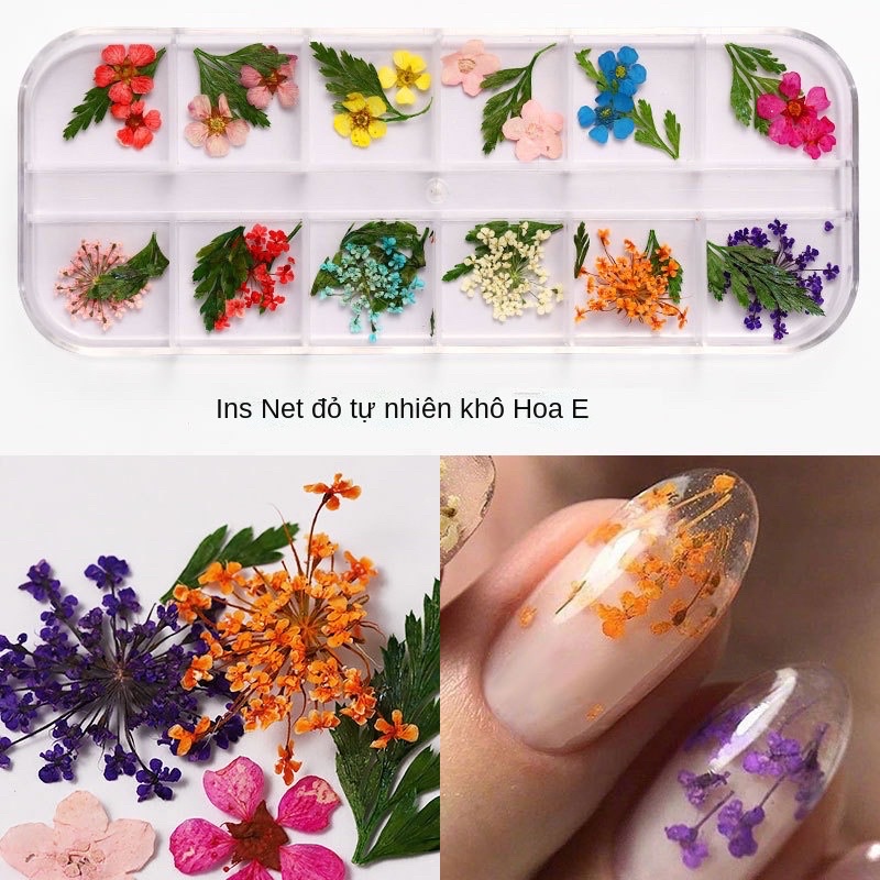 hoa khô nail làm nail dán móng tay
