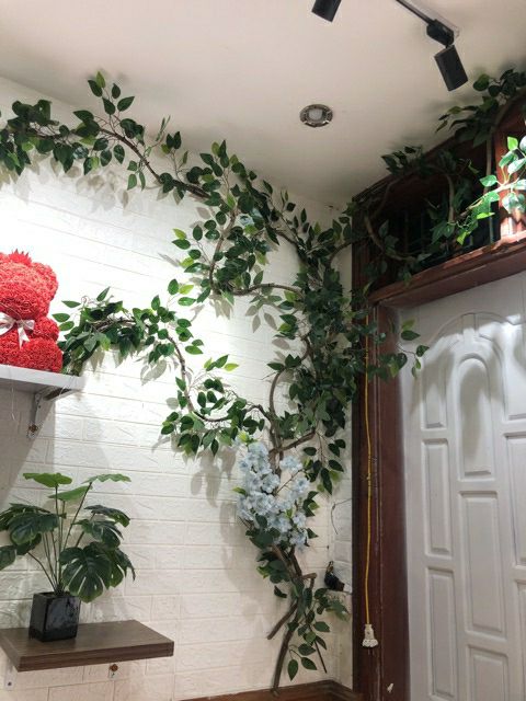 Dây rừng,(4met) dây leo tự nhiên trang trí