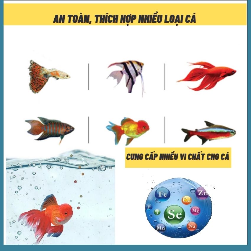 Thức ăn cho cá cảnh, đồ ăn cho cá