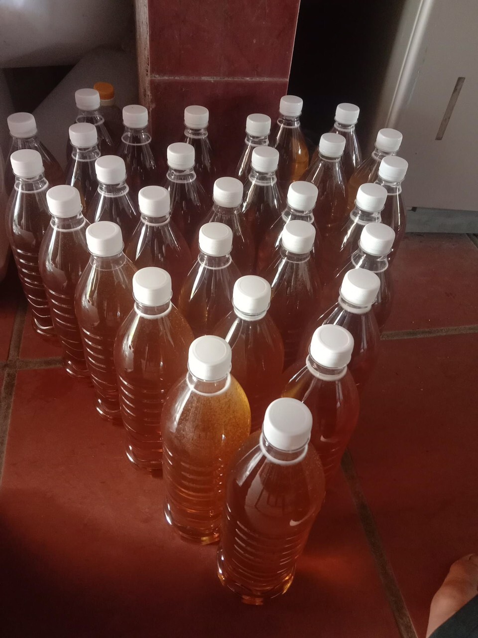 Mật Ong hoa rừng Tam Đảo ( Thái Nguyên ) 1 lít 180k