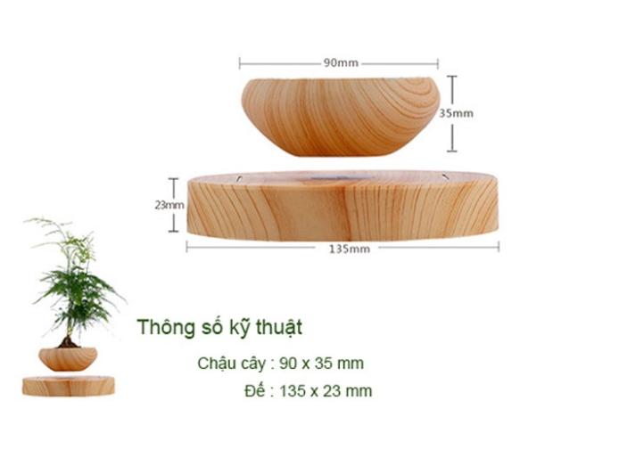 Euro Quality - Cây bonsai bay lơ lửng vân gỗ Đen