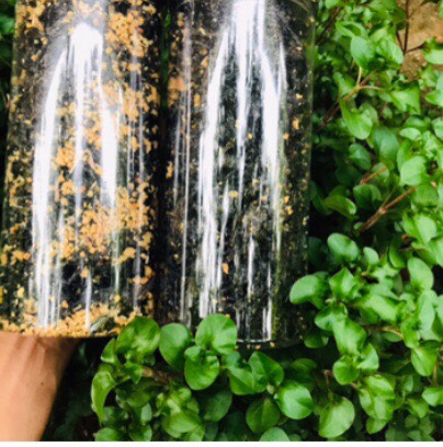 rong biển cháy tỏi 200gr