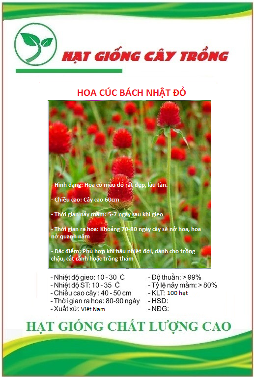 Hạt giống hoa cúc bách nhật hoa màu đỏ - Gói 100 hạt