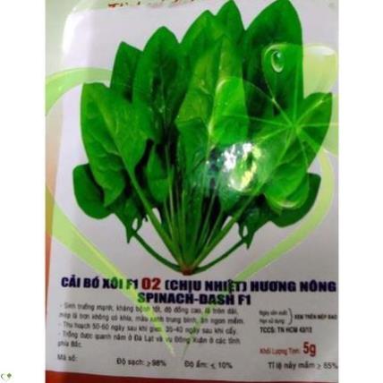 Hạt giống cải bó xôi - gói 5 gram
