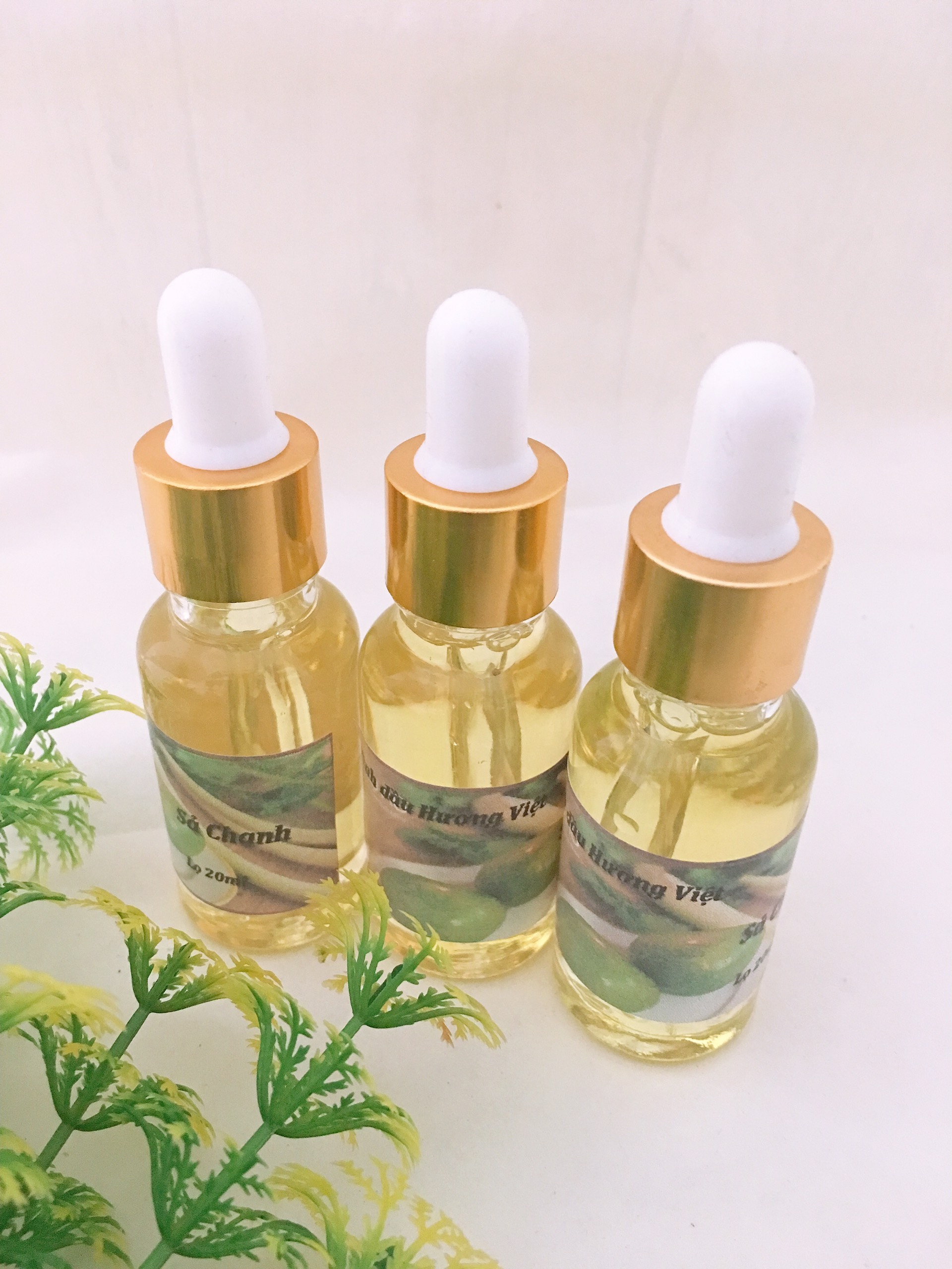 Tinh dầu Sả Chanh nguyên chất lọ 10ml