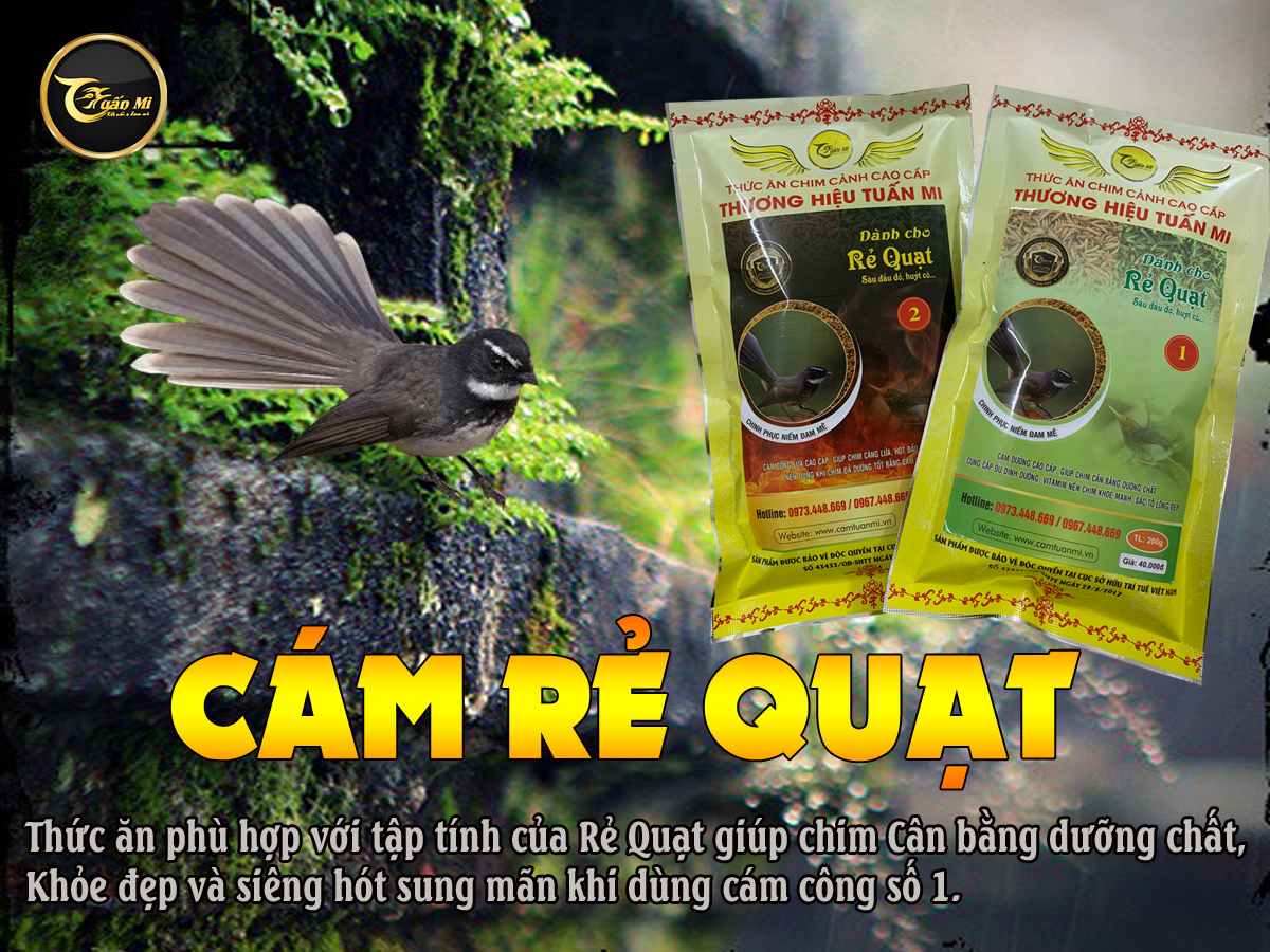 Cám Rẻ Quạt căng lửa số 2 (Thương hiệu Tuấn Mi)