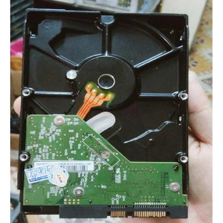[HCM]Ổ cứng HDD WD Blue 500GB