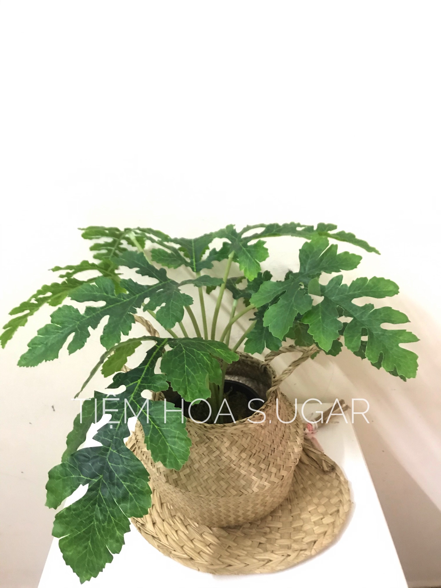 Cây cảnh giả decor cây trang trí