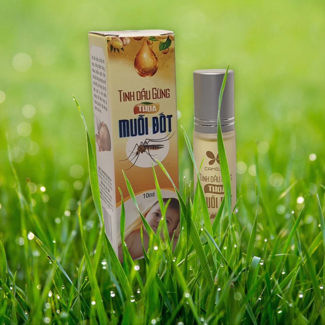 Tinh Dầu Gừng Thoa Muỗi Đốt Cao Cấp