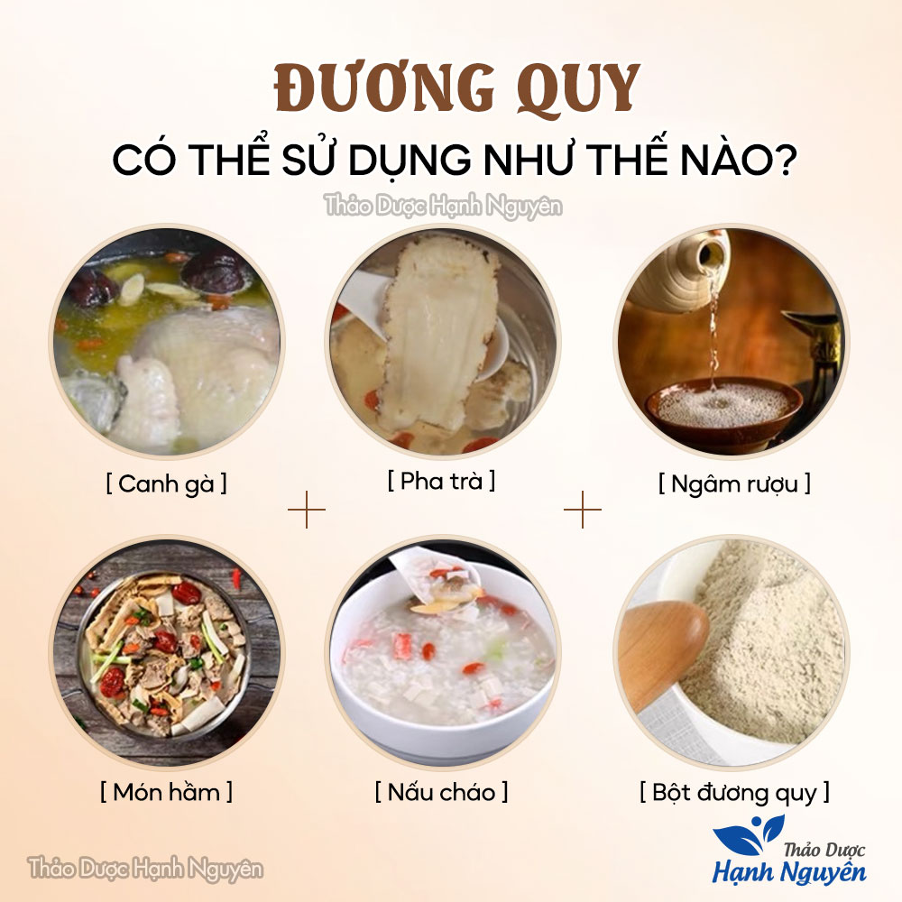 Đương quy thái lát 500g (Bồi bổ sức khỏe, hầm canh gà) - Thảo Dược Hạnh Nguyên
