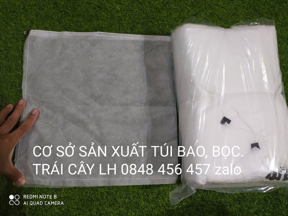 100 CÁI TÚI BAO,BỌC BƯỞI,DƯA LƯỚI 35*40
