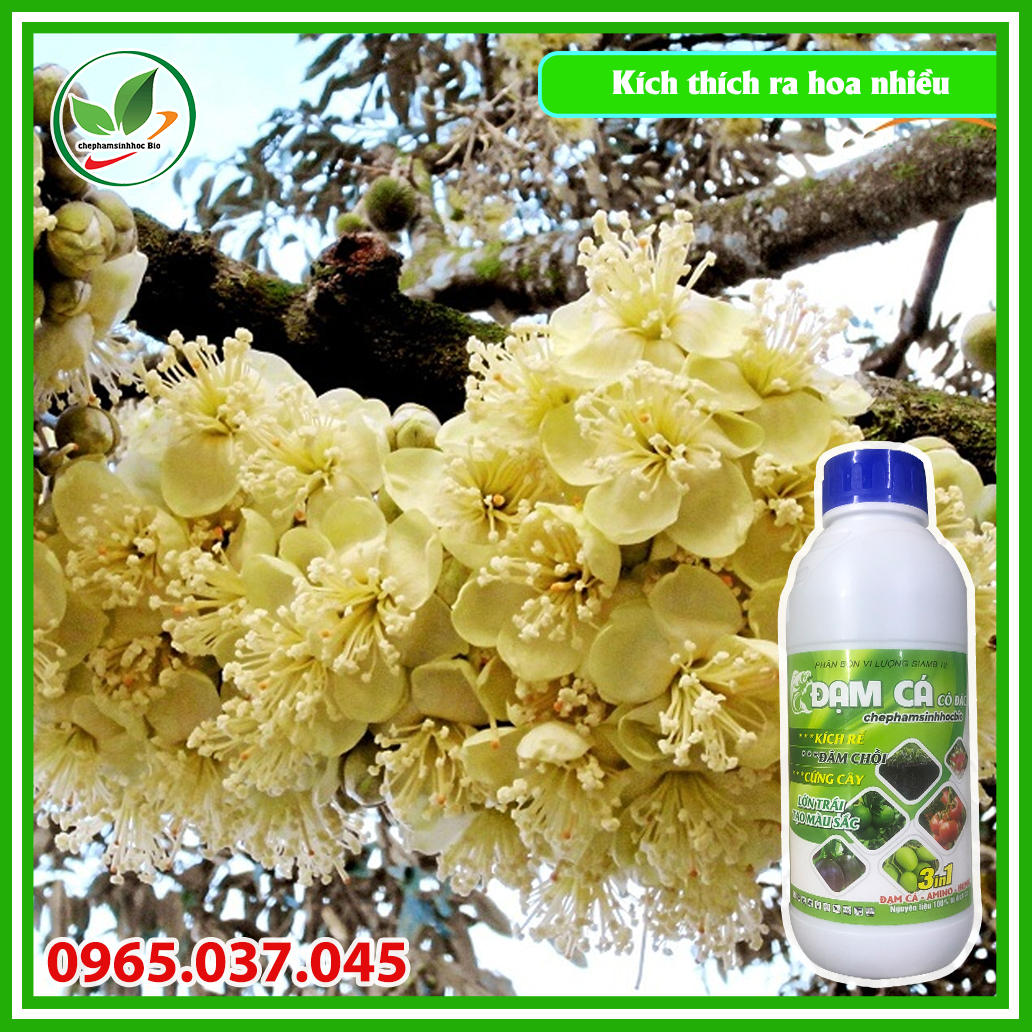 Phân đạm cá đậm đắc hữu cơ sinh học Bio. Chai 1l