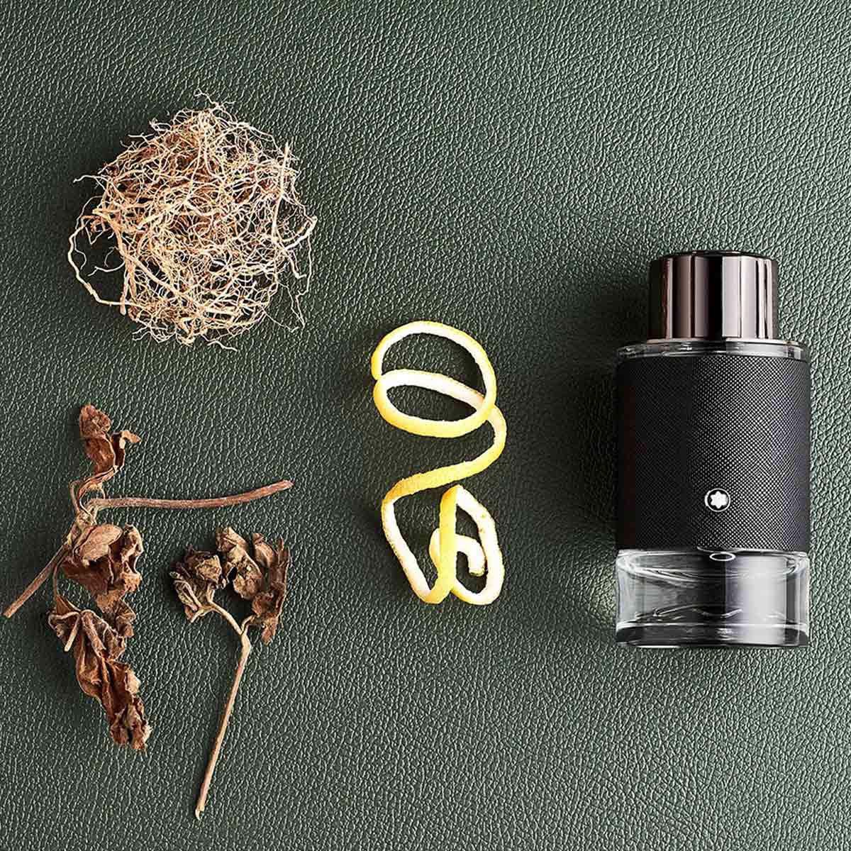 Montblanc Explorer Mont Blanc EDP 100ml