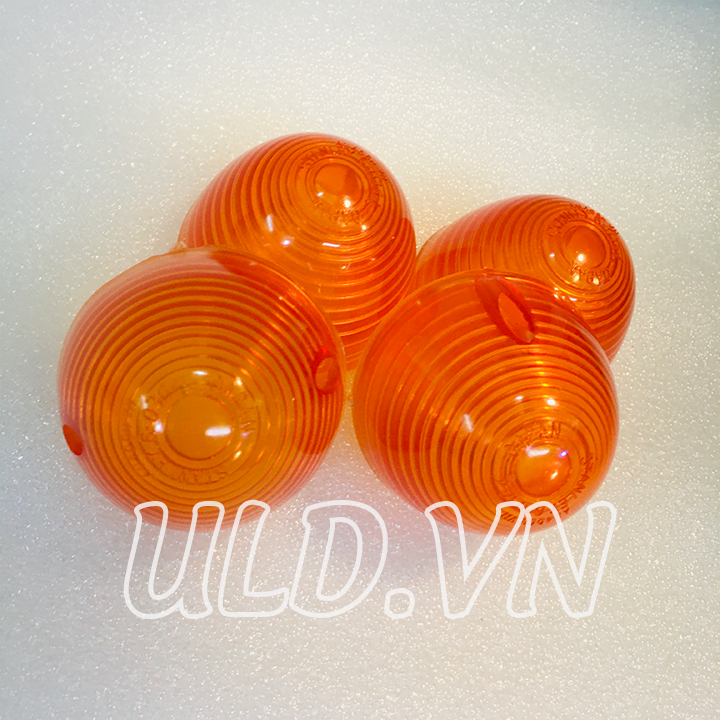 [HCM]CHỤP XI NHAN TRƯỚC SAU 67