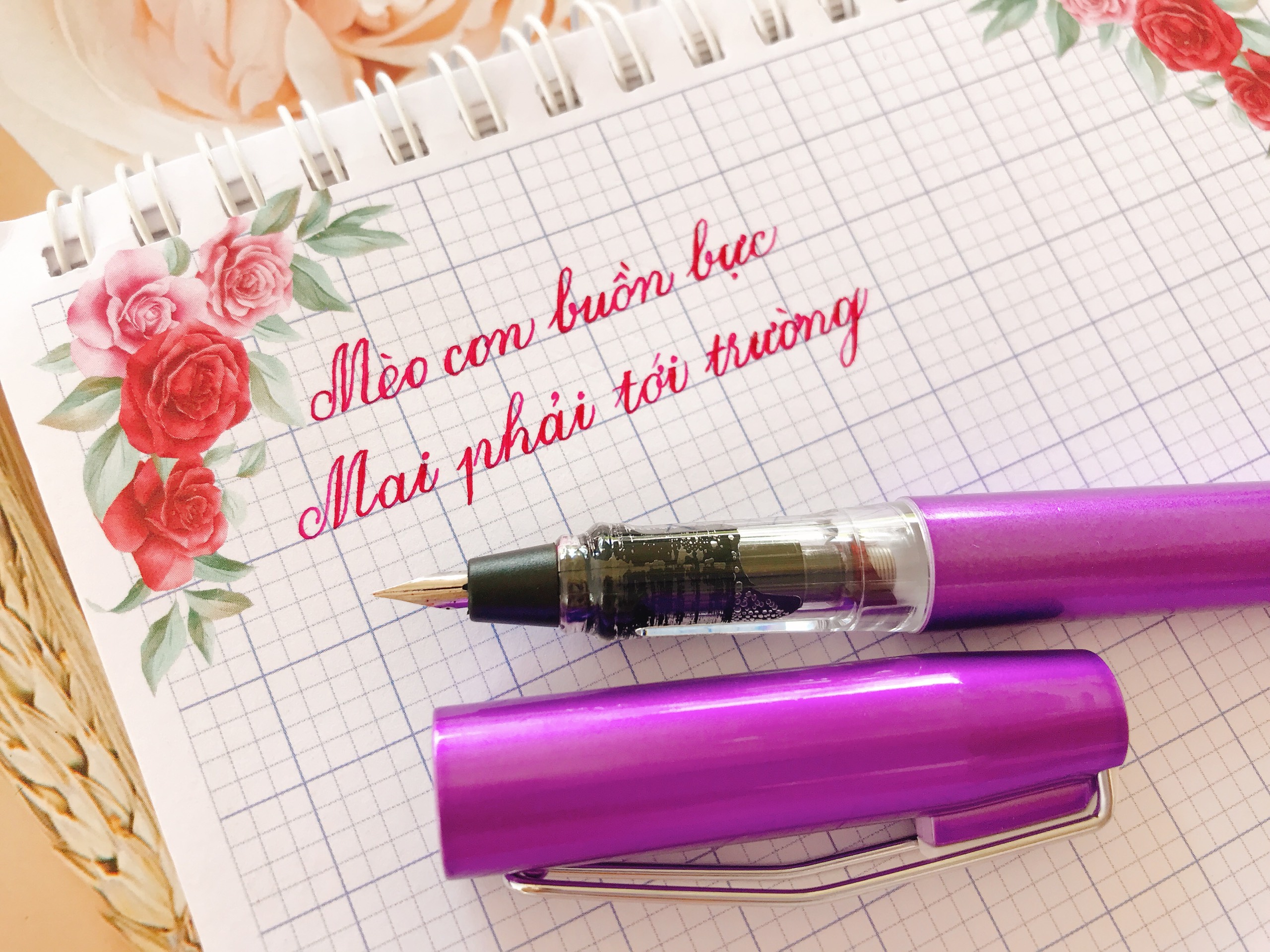 🍂 Bút máy LeTa 369 ngòi lá tre thanh đậm