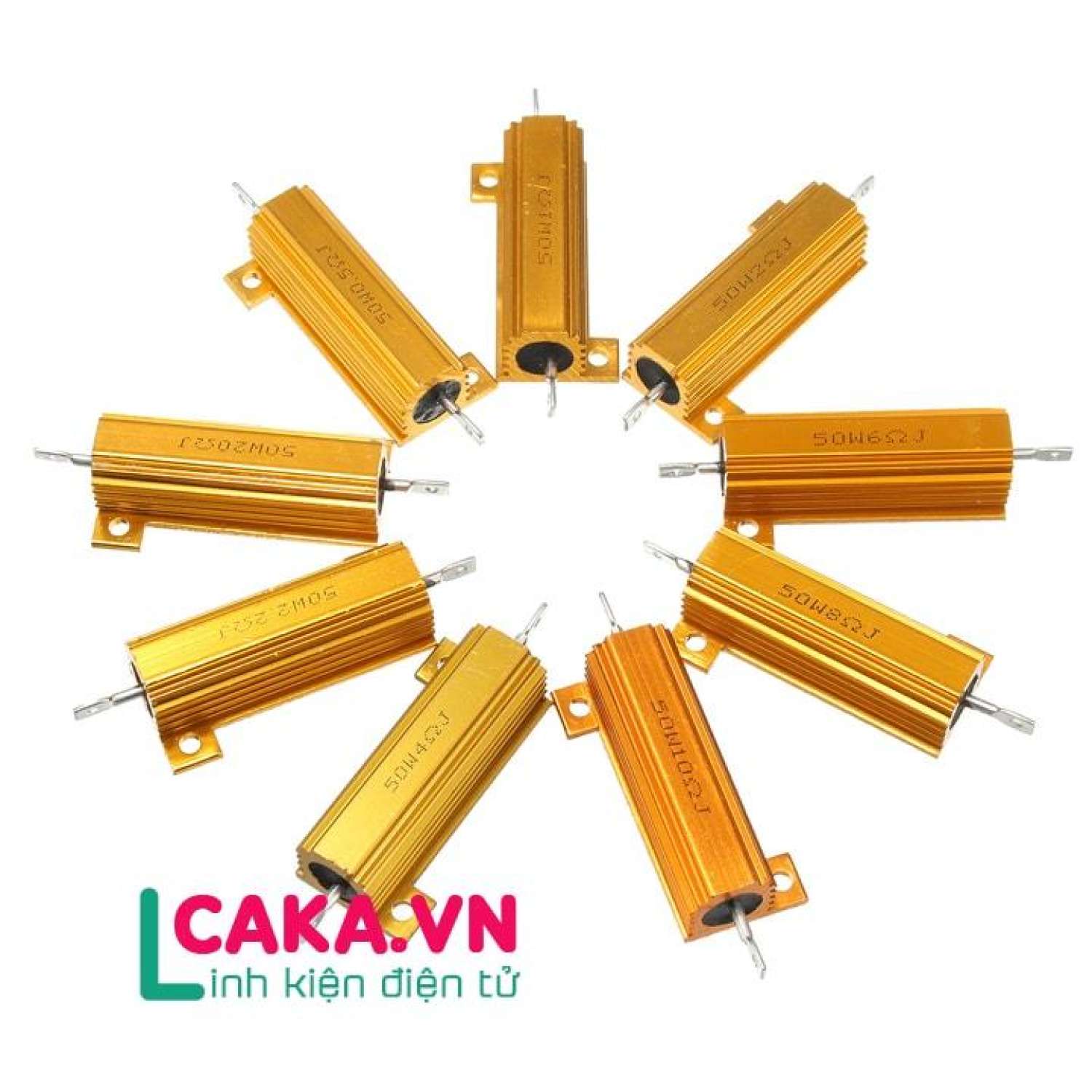 Điện trở nhôm 50W 100R