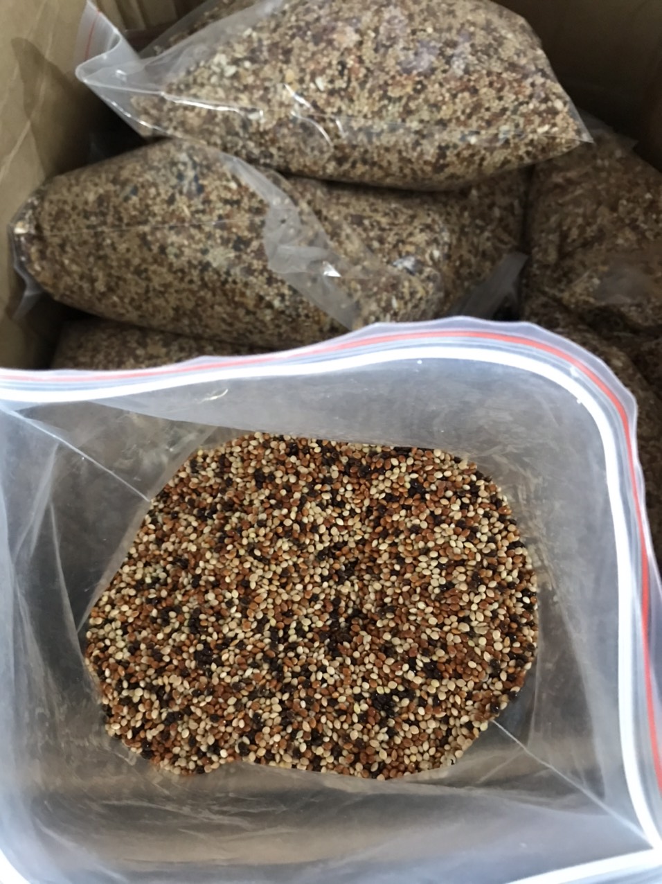 Hạt kê 4 màu, hạt cỏ Thái Lan, 1 túi 2kg dành cho chim ăn hạt, cu gáy... đầy đủ dinh dưỡng cho chim khỏe mạnh!