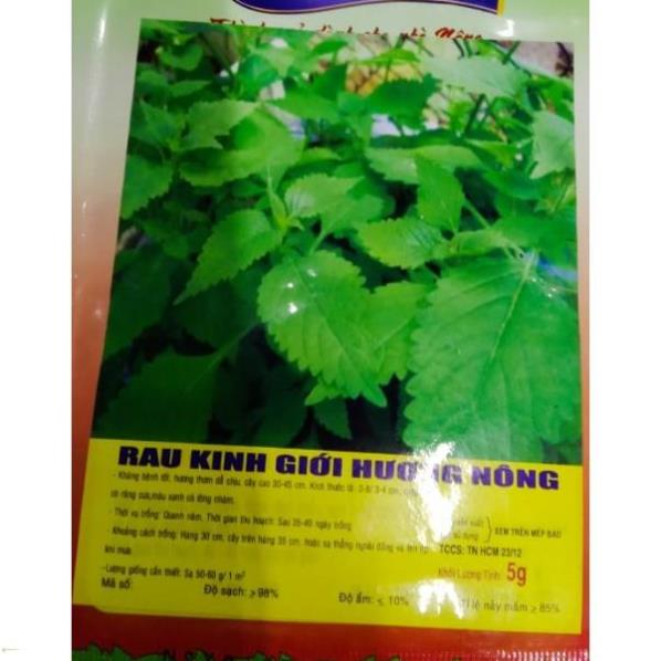 HẠT GIỐNG RAU KINH GIỚI - GÓI 1G