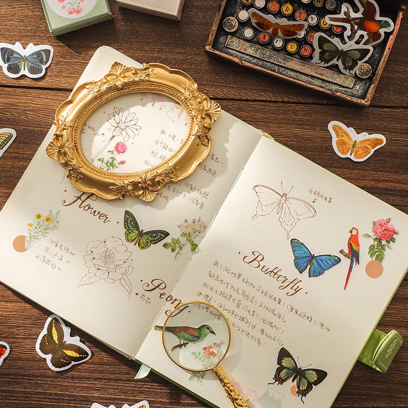 Hộp 46 miếng sticker dán chủ đề các loài bướm Box Sticker ST415