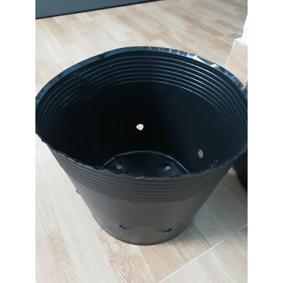 Bầu ươm cây 26x21 1kg 60 cái