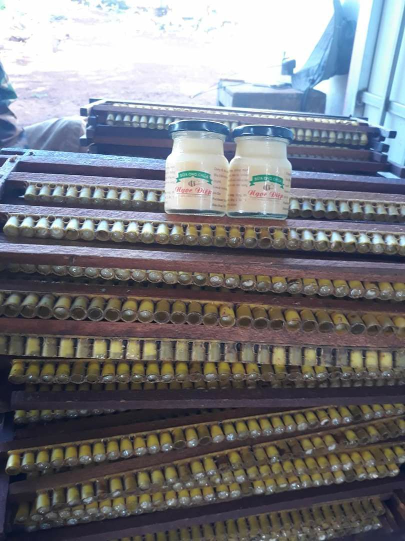 sữa ong chúa 100gr