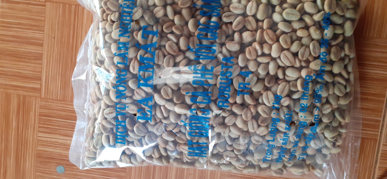 1KG Hạt giống cà phê TR4
