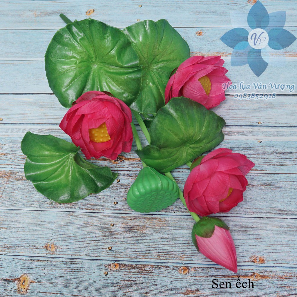 Hoa Giả Hoa Lụa Hoa Sen Có Đài