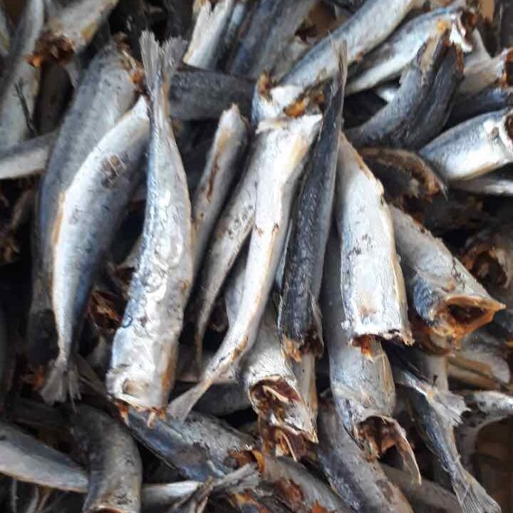 khô cá nục ngon rẻ 500gr