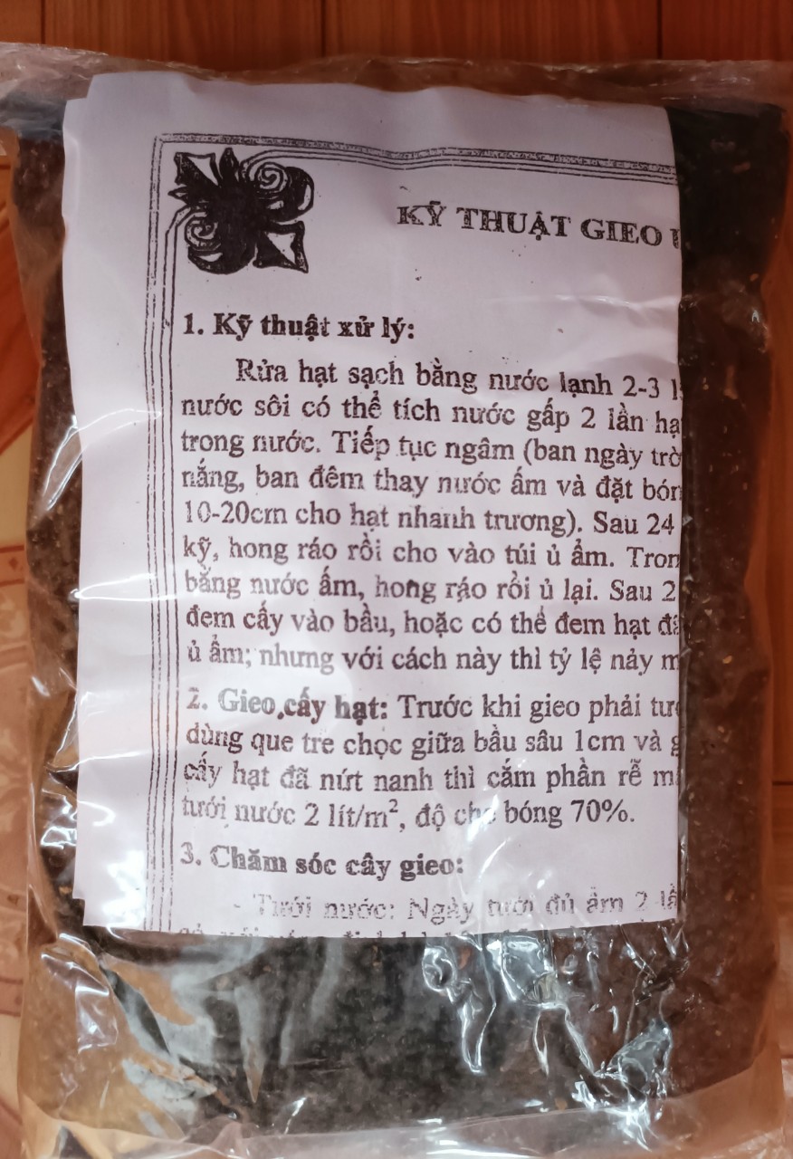 1kg hạt keo tai tượng giống