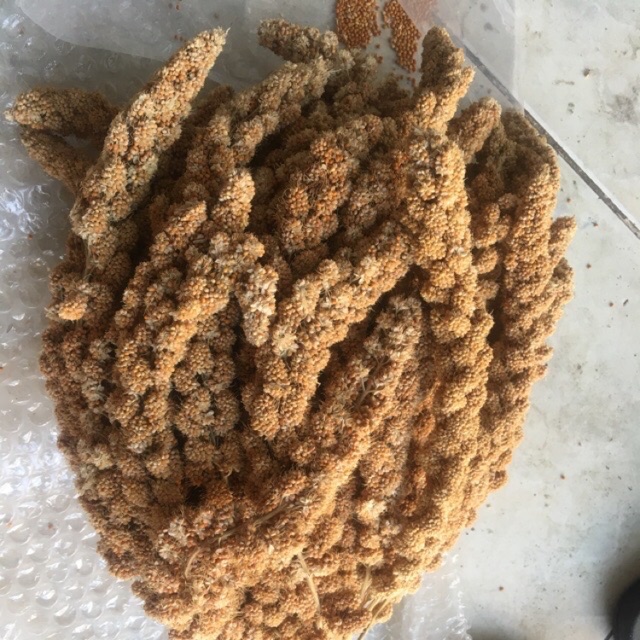 Kê chùm gói 500g/1kg