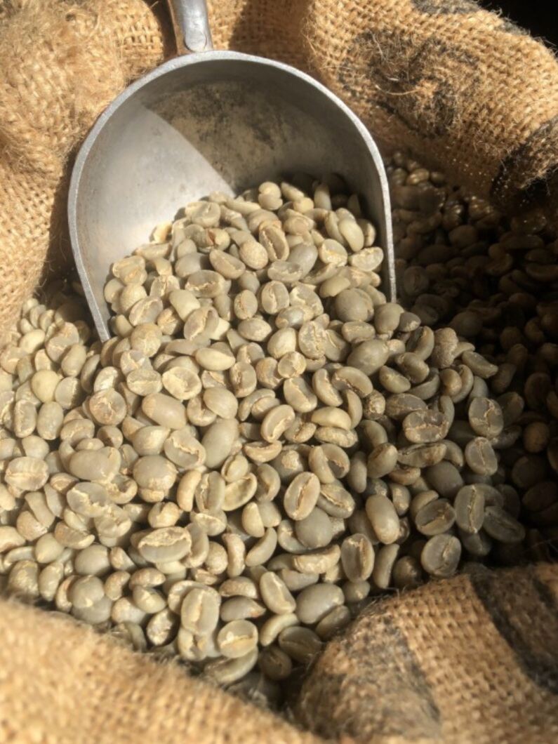 Raw Robusta Coffee Beans 500Gr /1 Bag