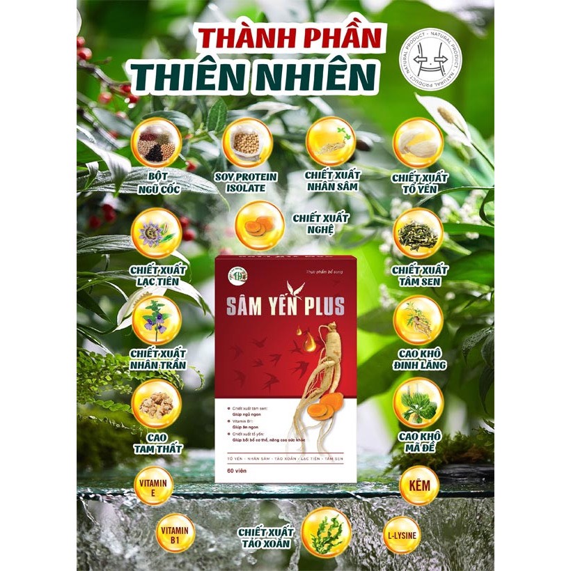 Sâm Yến Plus Tiến Hạnh Mẫu Mới Cải Tiến