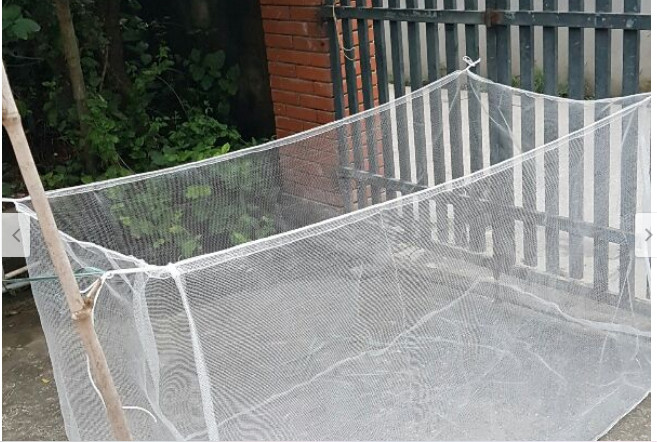 LỒNG NUÔI CÁ NHỐT CÁ TRÁNG NUÔI CÁ BỘT (cao 1 m, rộng 1 m dài 2 m)