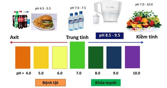 Dung dịch Test độ PH của nước 1 Lọ 10ml